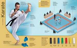 Karate-infografik-grafik